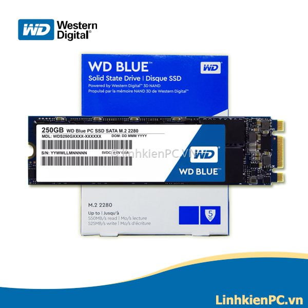 Ổ cứng SSD WD Blue 250GB M2