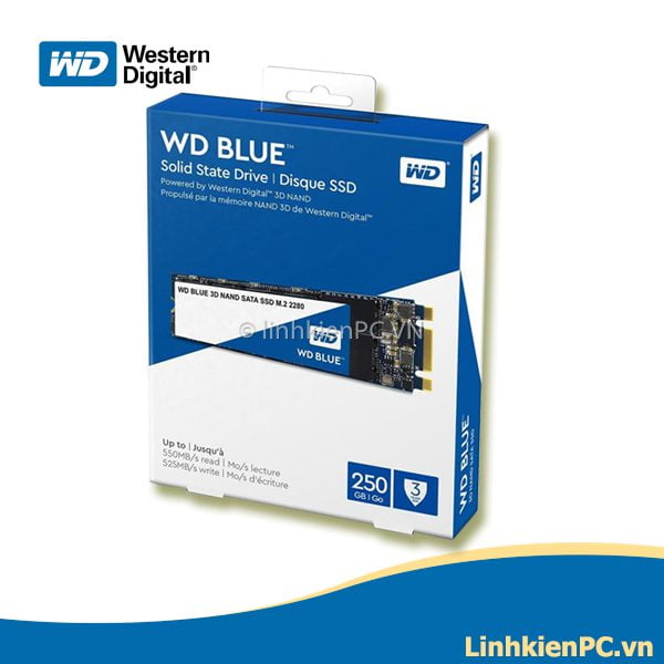 SSD WD 250gb WDS250G2B0B