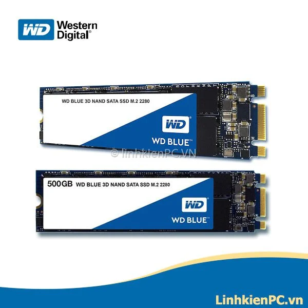 WDS500G2B0B